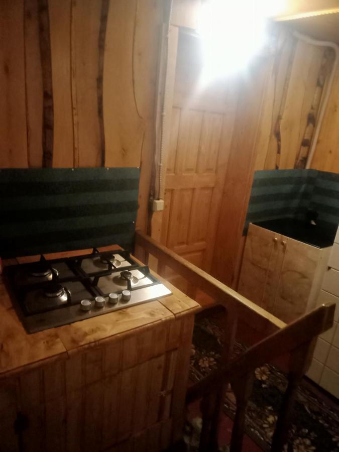 Holiday Home Tihiy Dvor Микуличин Екстериор снимка