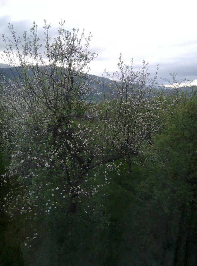 Holiday Home Tihiy Dvor Микуличин Екстериор снимка
