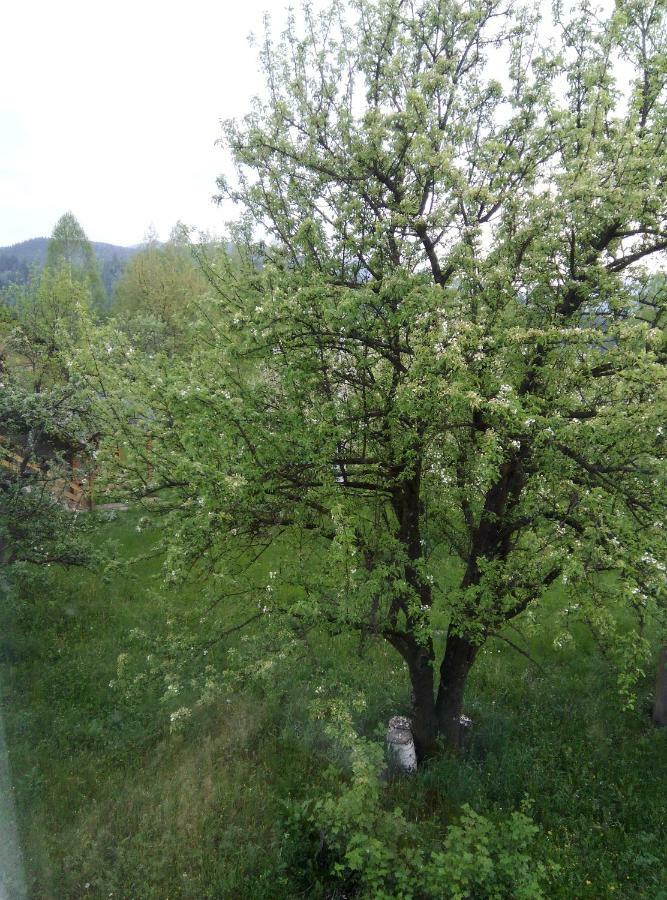Holiday Home Tihiy Dvor Микуличин Екстериор снимка